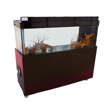 Large fish tank with a black frame, featuring orange and brown aquatic creatures inside.