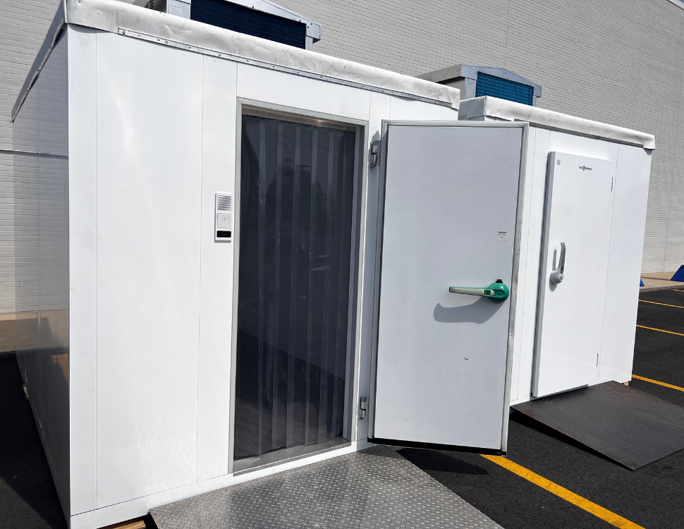 Untitled design.png (3)