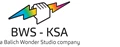 BWS-KSA logo featuring a colourful hand and lightning bolts on a white background.