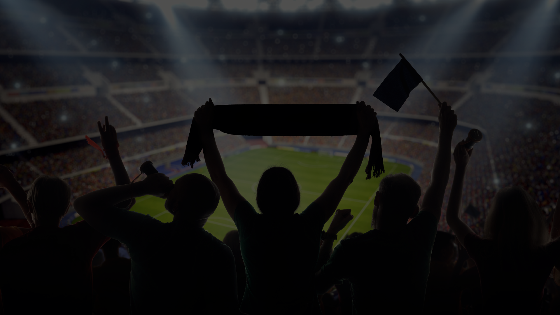 Fans celebrating in a stadium