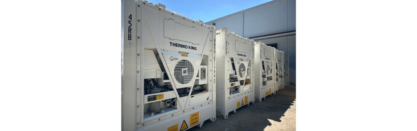 Three white Thermo King refrigerated containers lined up against a clear blue sky.
